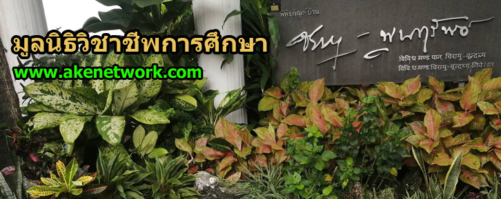 มูลนิธิวิชาชีพการศีกษา รับบริจากเงินทุนเพื่อการศึกษา สรับสนุนการศึกษา และวิชาชีพ สนับสนุนวิชาชีพเพื่อการศึกษา