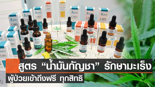 กัญชา น้ำมันกัญชา รักษาโรคมะเร็งกับมูลนิธีวิชาชีพการศึกษา