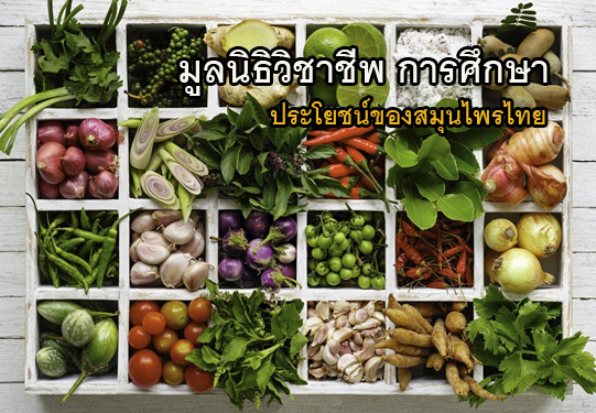 สมุนไพรไทย ประโยชน์ของสมุนไพร ใช้เป็นยาบำรุงสุขภาพ