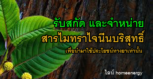 ประโยชน์ของใบกระท่อม การสกัดสารไมทราไจนีน ประโยชน์ทางยาของสารไมทราไจนีนบริสุทธิ์